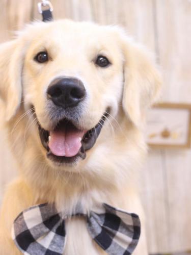 20241011レオくん